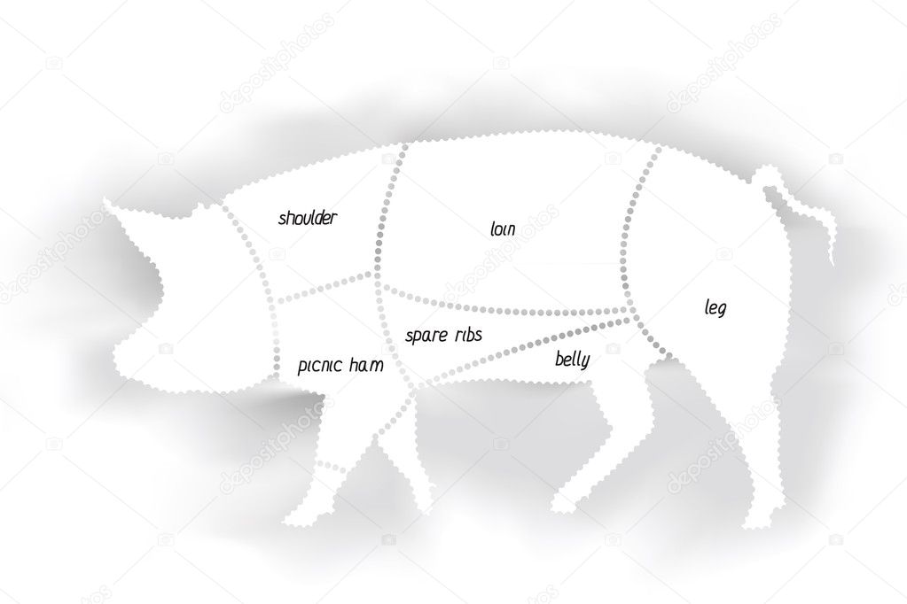 Pork meat diagram