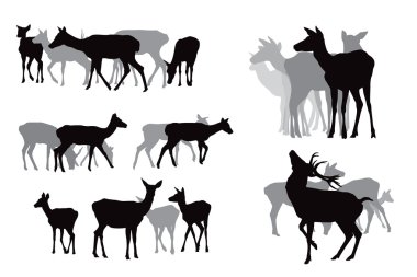 Deer herds collection clipart