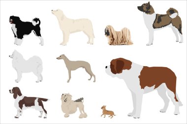 Dog Breeds clipart