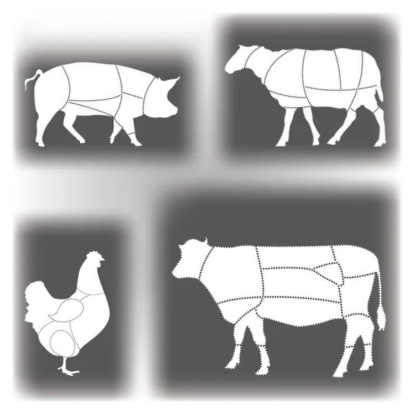 Vlees diagrammen — Stockvector