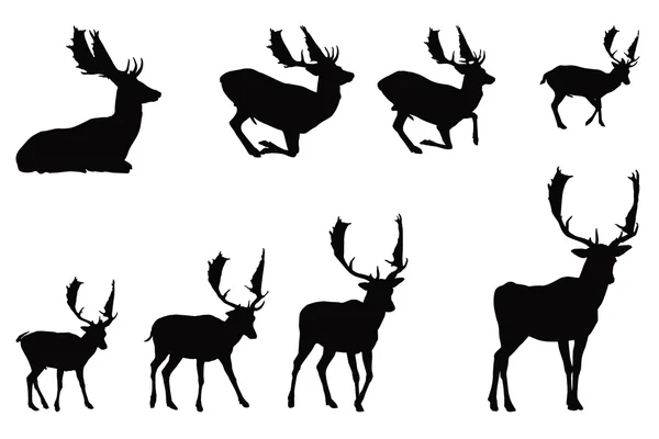 Buck Deer — Stock Vector