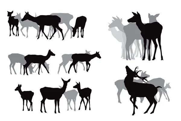 鹿の群れコレクション — ストックベクタ