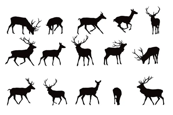 Deer silhouettes — Stock Vector