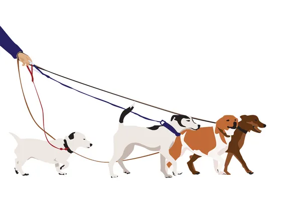 Собачья прогулка — стоковый вектор