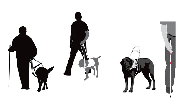 盲導犬 — ストックベクタ
