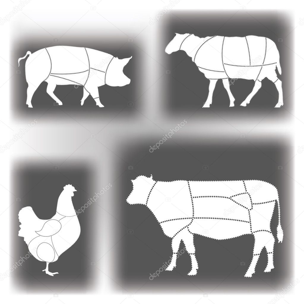 Meat Diagrams