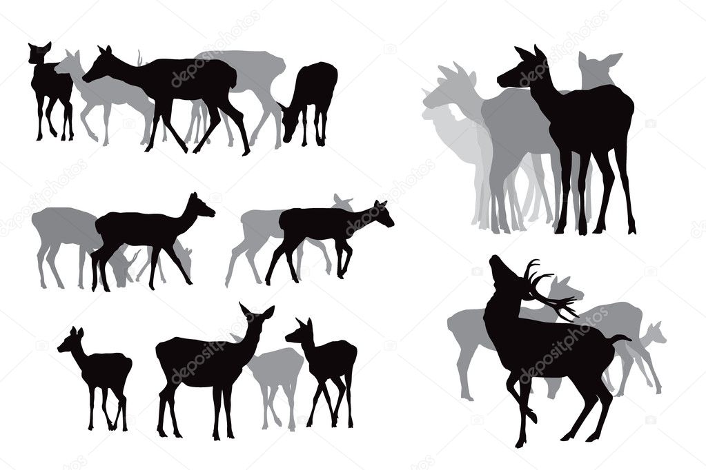 Deer herds collection