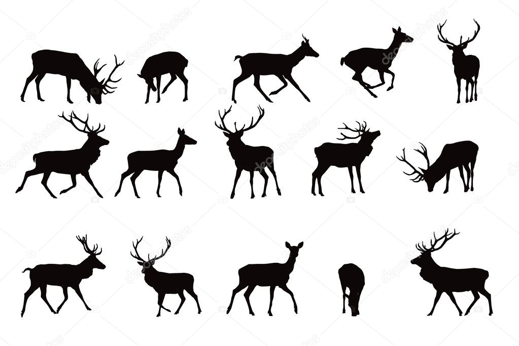 Deer silhouettes