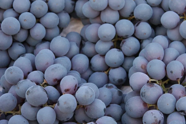 Fresh Grape — Stock Photo, Image