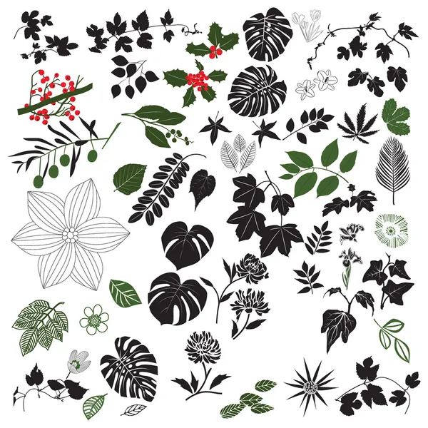 stock vector Collection Of Floral Design Elements