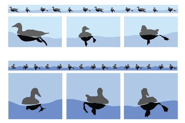 Floating Ducks — Stock Vector
