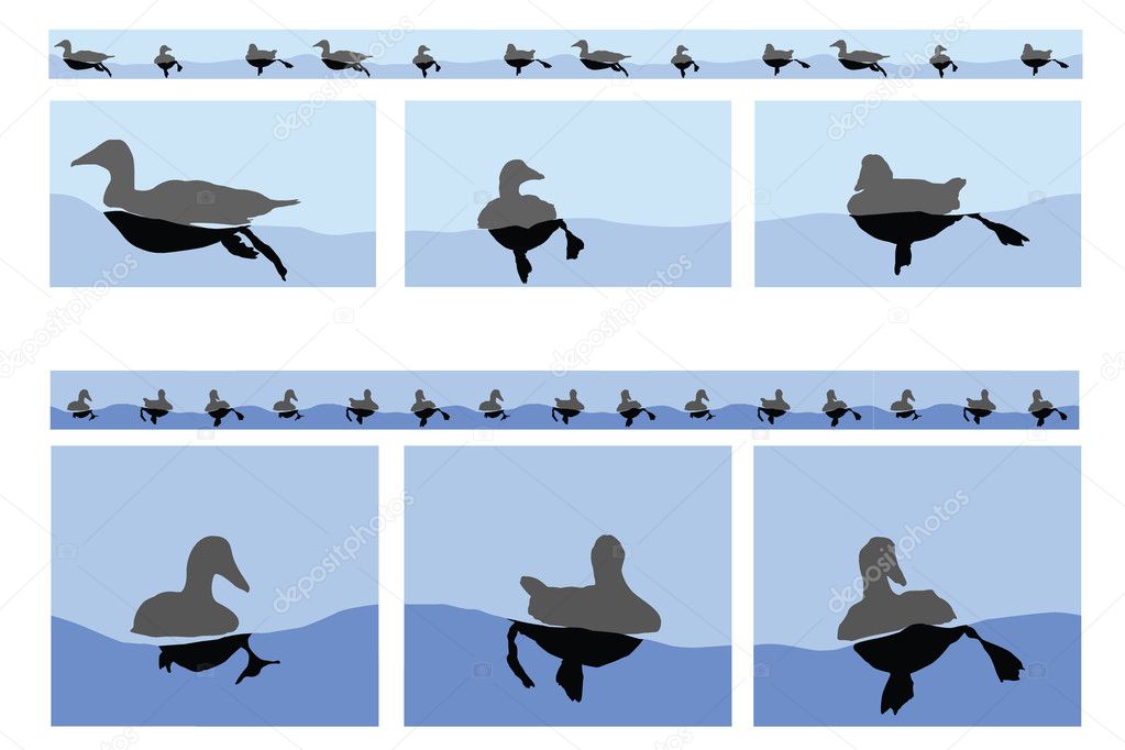 Floating Ducks
