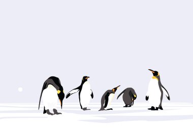 İmparator penguenler