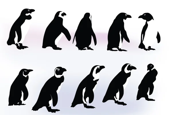 Pingwiny — Wektor stockowy