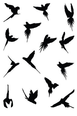 Alexandrine Parrot Silhouettes clipart