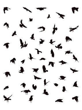 Crows In Flight clipart