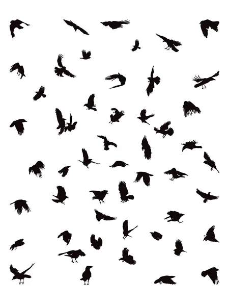 Corbeaux en vol — Image vectorielle