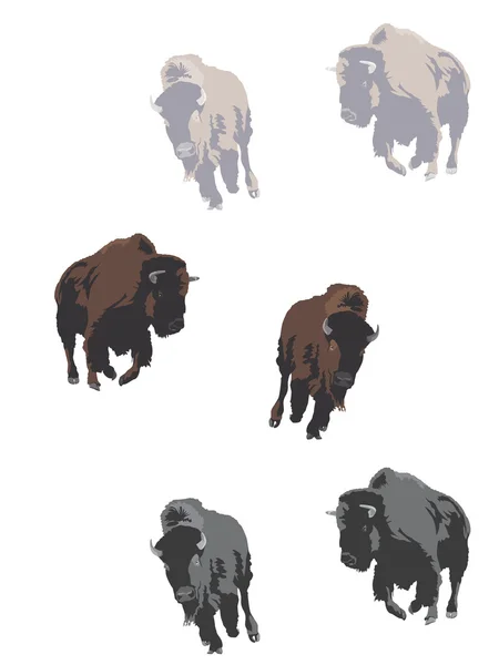 Bisonte americano — Vector de stock