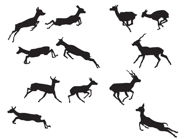 Gazelle silhouettes — Stock Vector