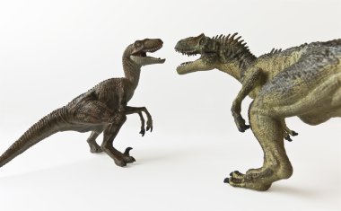 bir velociraptor ve allosaurus beyaz bir arka plan