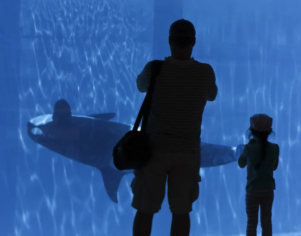 Un père et sa fille regardent une orque à travers le verre — Photo