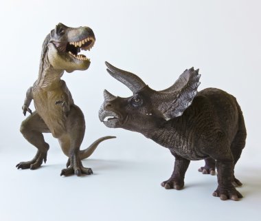 bir triceratops ve tyrannosaurus beyaz bir arka plan