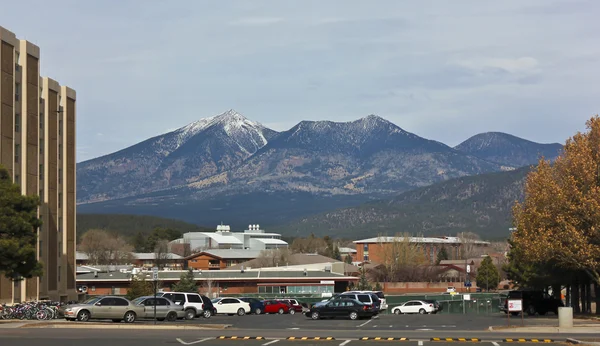 A View of the NAU Campus and the San Francisco Peaks — Stock Photo, Image