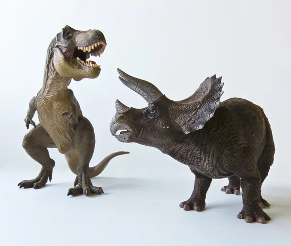 Un triceratops y tyrannosaurus contra un fondo blanco — Foto de Stock