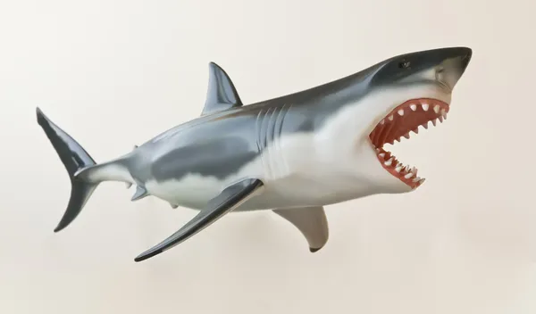 A Great White Shark Model Against White — Stok Foto