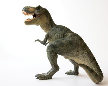 ağzı açık çene ile dinozor tyrannosaurus rex