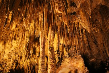 Carlsbad caverns milli park, new mexico
