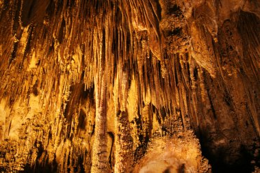 Carlsbad Caverns National Park, New Mexico clipart