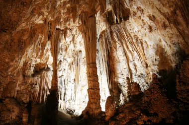 Carlsbad caverns milli park, new mexico