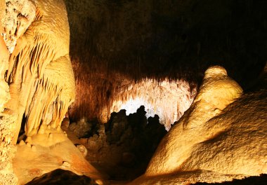 Carlsbad caverns milli park, new mexico