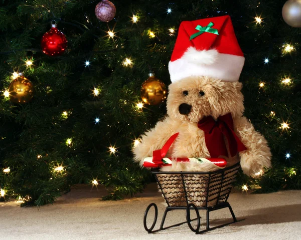 Um urso de Natal em um Sleigh — Fotografia de Stock