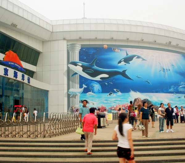Pohled od vchodu do Pekingu akvárium — Stock fotografie