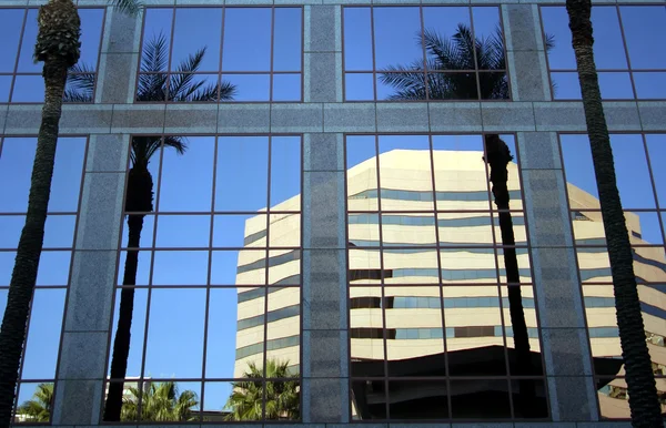 Een kantoorgebouw weerspiegelt een gebouw en palmen — Stockfoto