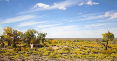 bir sonbahar günü arizona Çölü üzerinde