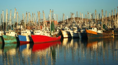 A Colorful Fleet of Shrimp Boats Docked at the Marina, Rocky Point, Mexico clipart