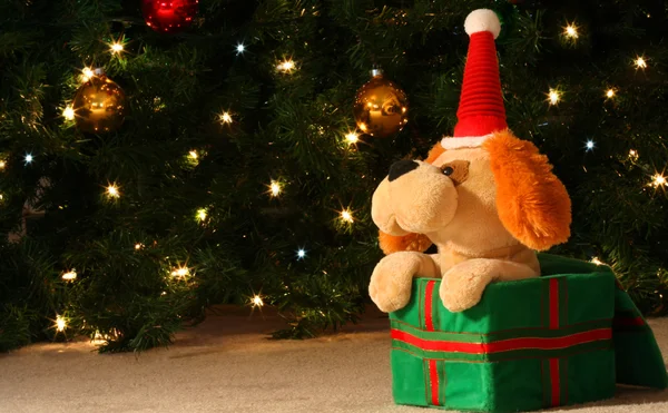 Doldurulmuş bir Noel köpek yavrusu — Stok fotoğraf