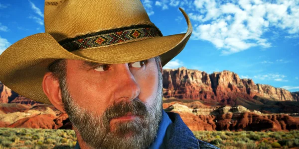 Ein Cowboy mit den zinnoberroten Klippen dahinter — Stockfoto