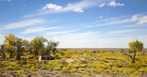 Осінній день по пустелі Арізони — стокове фото