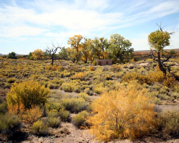 Bir sonbahar günü arizona Çölü üzerinde — Stok fotoğraf