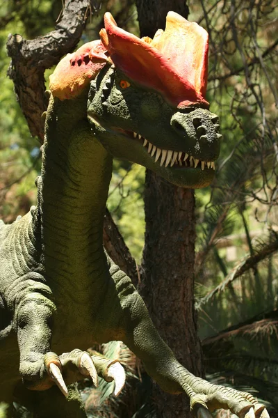Un Dilophosaurus caza en un bosque jurásico — Foto de Stock