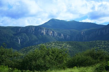 Huachuca'da dağ yaz