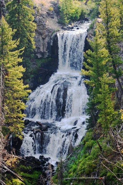 Ett vattenfall som gömda djupt i en skog — Stockfoto