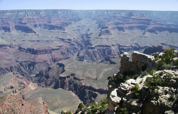 Een rots die eruit als een kameel in de grand canyon ziet — Stockfoto