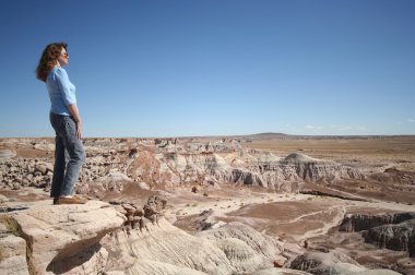 A Woman Gazes at Petrified Forest in Arizona clipart