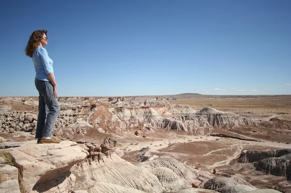 Žena hledí na zkamenělý Les v Arizoně — Stock fotografie