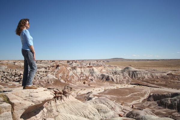 A Woman Gazes at Petrified Forest in Arizona